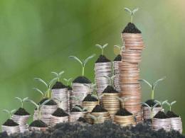 Early-stage startups Deep Rooted, Aye Finance, Univest raise funding