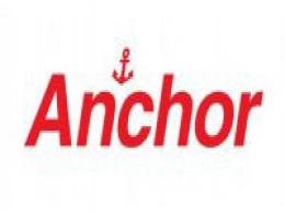 Anchor's FMCG business to be split and sold
