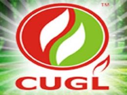 Indraprastha Gas buying 50% in Central UP Gas; investors exiting at around 2.5x