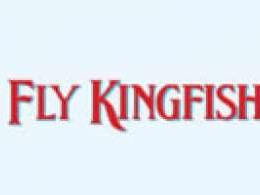 Kingfisher submits plan to restart airline