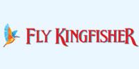 Kingfisher submits plan to restart airline