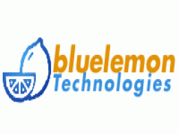 HT Media arm buys digital media marketing business of Bluelemon Technologies