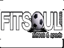 MS Dhoni-promoted sports and fitness retail chain FITSOUL in talks with investors to raise $5M