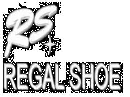 Regal Shoes plans to invest $6.3M for expansion, eyes PE funding next year