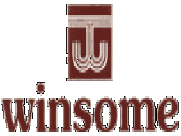 Winsome Yarns in talks to sell stake in knitting unit