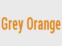 Warehousing automation venture Grey Orange raises Series A funding from Tiger Global, Blume Ventures, others