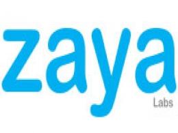 Pearson's education fund invests in e-learning startup Zaya Labs