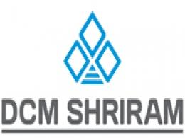 US-based Axiall buys 50% stake in DCM Shriram's polymer compounding unit for close to $6M