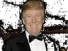 Donald Trump revives India investment plans; eyes realty, hotels