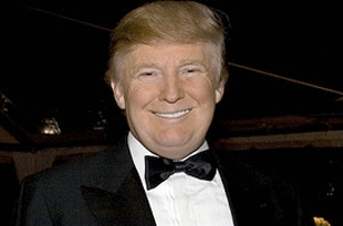 Donald Trump revives India investment plans; eyes realty, hotels