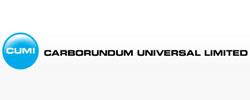 Carborundum Universal buying out Israeli partner in 51:49 JV