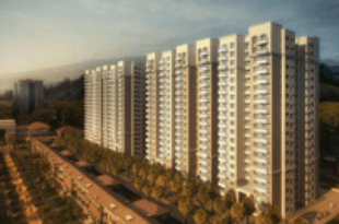 How Bangalore has emerged as the flavour of the season for realty investors