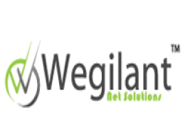 IT security startup Wegilant raises $160K angel funding