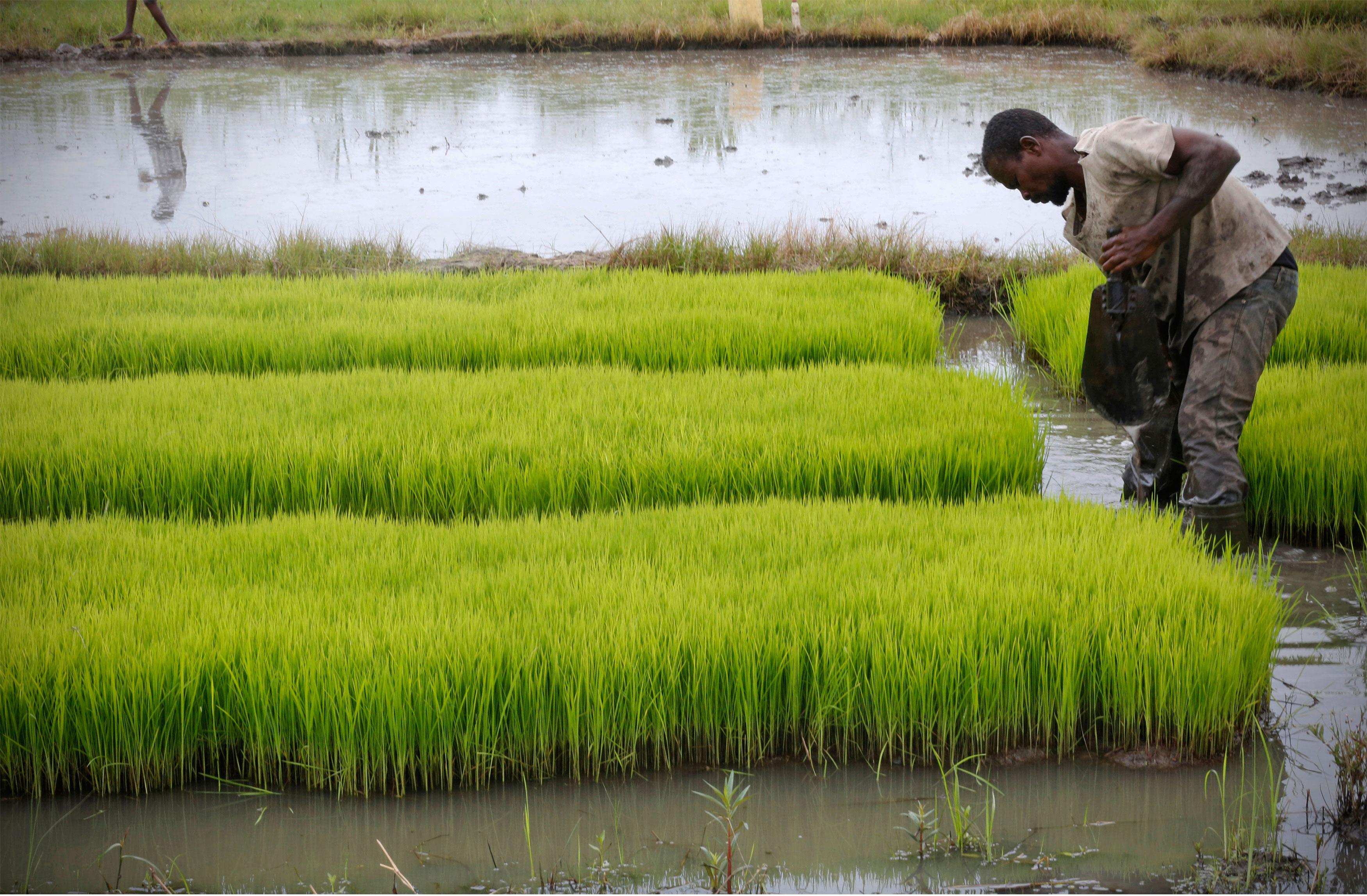 Govt unveils draft norms to operate Price Stabilisation Fund