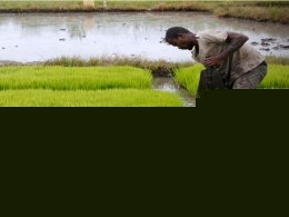 Economic Survey suggests further reforms in agriculture, banking & more