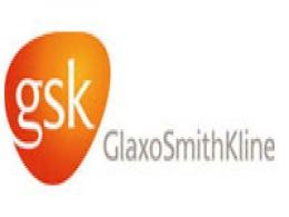 Mylan, among others, to participate in bidding for GSK's old drugs portfolio