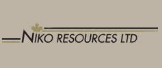 Canada’s Niko Resources yet to find buyer for India assets