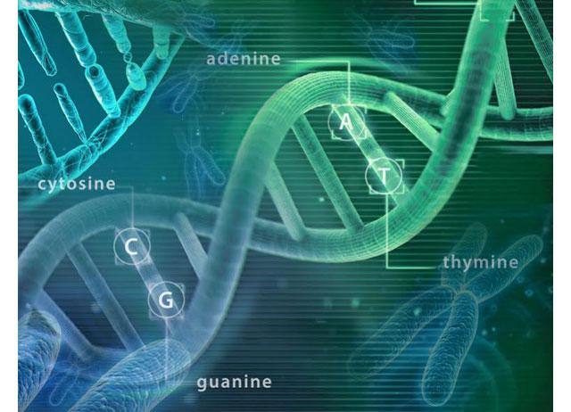 Strand Life Sciences close to raising $20M