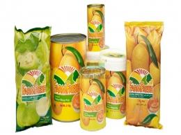 Jain Irrigation to hive off food unit