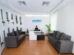 Blubirch raises $2M from Chicago Capital, Sanjay Mehta, others