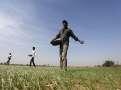 IFC-backed Crystal Crop to acquire FMC's India unit ahead of IPO