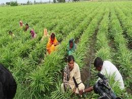 ICRISAT incubator to float around $15M fund for agri startups