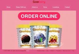 Frozen yogurt chain Cocoberry raises fresh angel funding