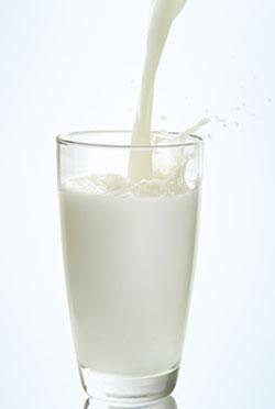 Parag Milk IPO subscribed 23% on second day