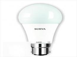 Surya Roshni's lighting biz gets bids from Warburg Pincus, Bain Capital