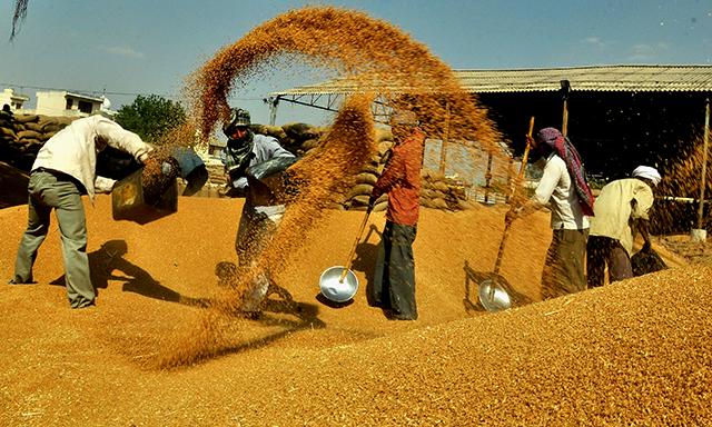 Edelweiss Financial Services may sell agri unit to Inditrade Capital