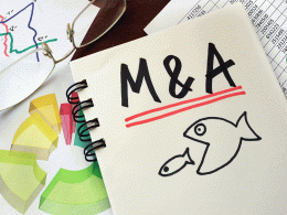 Is Tata Group looking to firm up M&A game plan?