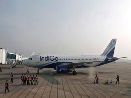 IndiGo says interested only in Air India's overseas, low-cost units