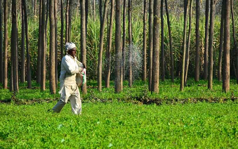 Chiratae, Gates Foundation back agri-tech startup CropIn in Series B round