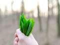 ICICI Venture invests $20 mn in agrochem maker Agrow Allied