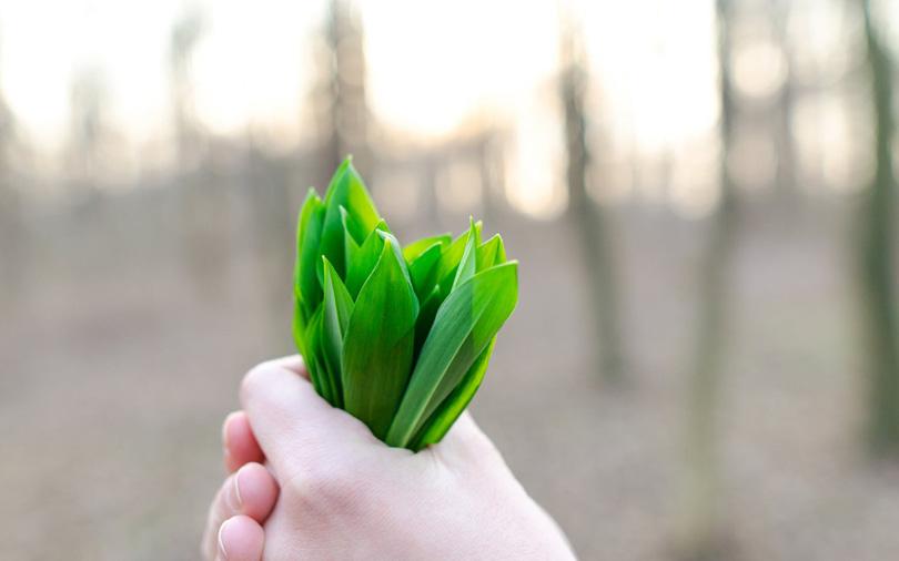 ICICI Venture invests $20 mn in agrochem maker Agrow Allied