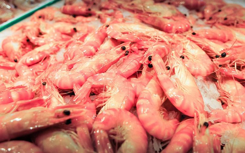 Devi Seafoods files for $138 mn IPO​