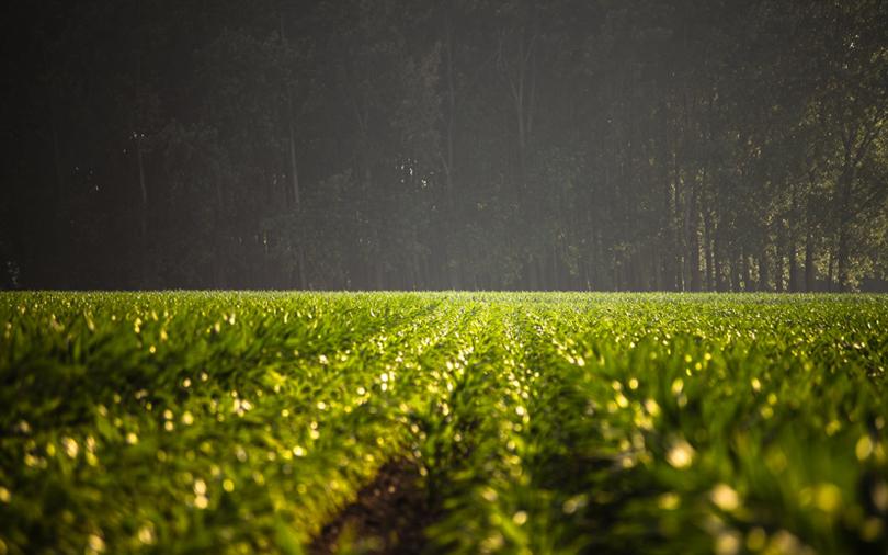 UPL consortium eyes Arysta LifeScience; Temasek, Tencent may invest in FirstCry