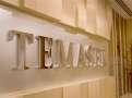 Temasek adds a new BFSI company to India portfolio