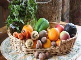 BigBasket buys RainCan to boost micro-delivery business