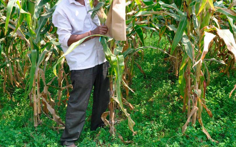 Bertelsmann leads $27-mn investment round in AgroStar