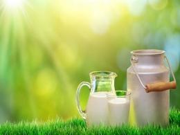 Dairy-tech firm Stellapps set to milk Dutch investor, three others in bridge round