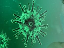 Global coronavirus infections cross 4.2 mn, death toll moves past 285,000