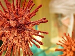 India's daily virus infections are world's highest but crowds gather for festival