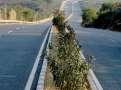 Edelweiss Alts-backed highways InvIT whittles down IPO plans