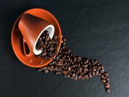 Alteria extends venture debt to Fireside backed coffee startup