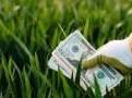 MENA Digest: Agritech startups iyris, YoLa Fresh bag big cheques