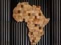 Africa mid-market PE firm Phatisa may nearly double AUM with new fund