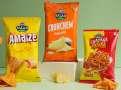 General Atlantic bets on Balaji Wafers as valuation zooms