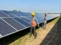 India to stop setting annual clean energy tender targets, says top official