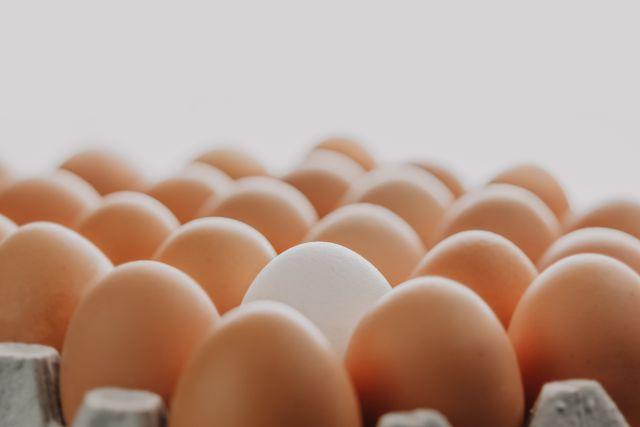 Egg brand Henfruit in talks with investors for maiden funding round